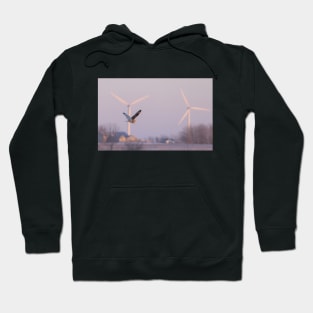 Short-eared owl in flight Hoodie